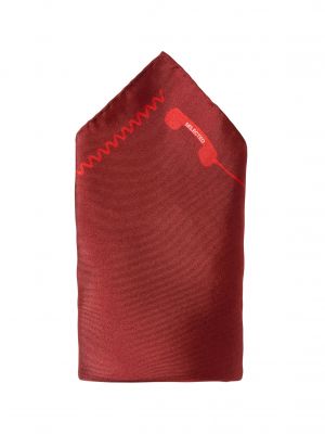 DÍSZZSEBKENDŐ  16098936